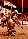 Ride Em