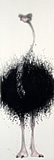 Flightless #2: from THE Secret Garden - Kotaro Fukui