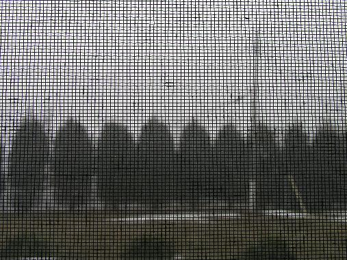 Daniel Blaufuks - from "Cinema Motel"