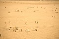 Ganges Sand