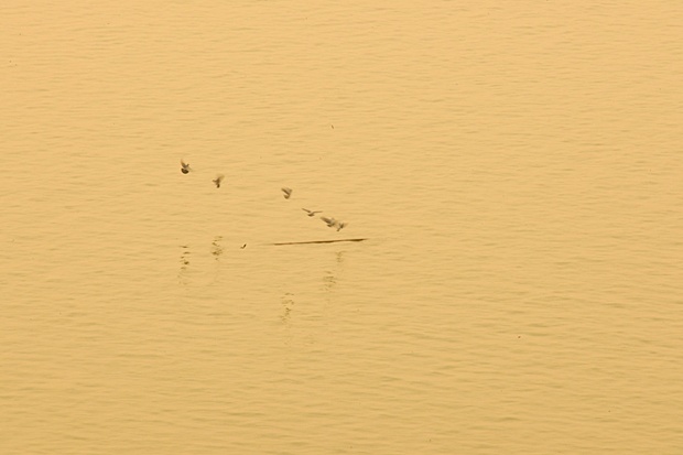 Ganges Sand