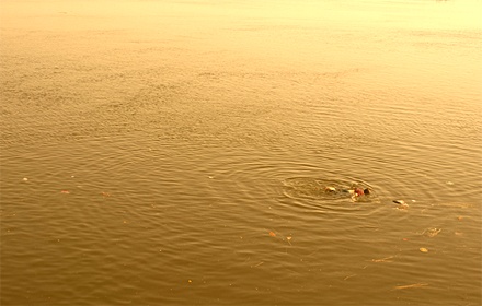 Ganges Sand