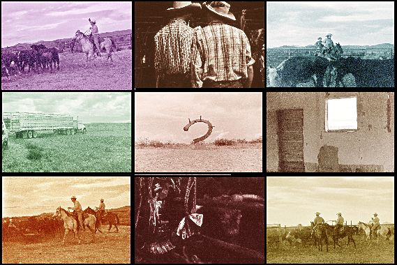 Cowboy Country - from "No Bull"