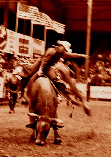 Ride Em - from "No Bull"