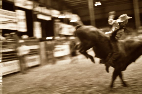 Post the Pony - from "No Bull"