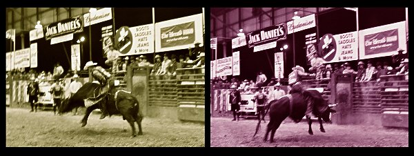 Bull Run - from "No Bull"