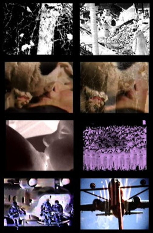 Devour - Carolee Schneemann