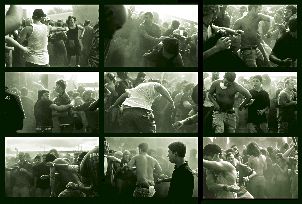 Wild in the Pit